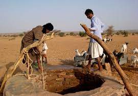 Por sus obras los conocerás