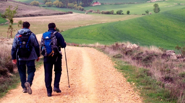 Día 49 y ¡Shavuot!