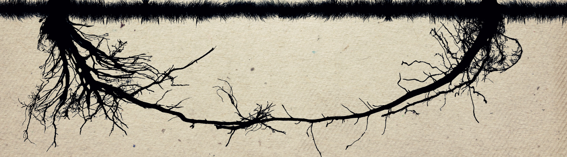 Conectado o desconectado