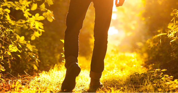 Ver solamente la Luz