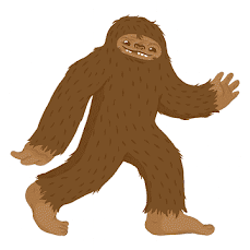 Problemas con pies grandes