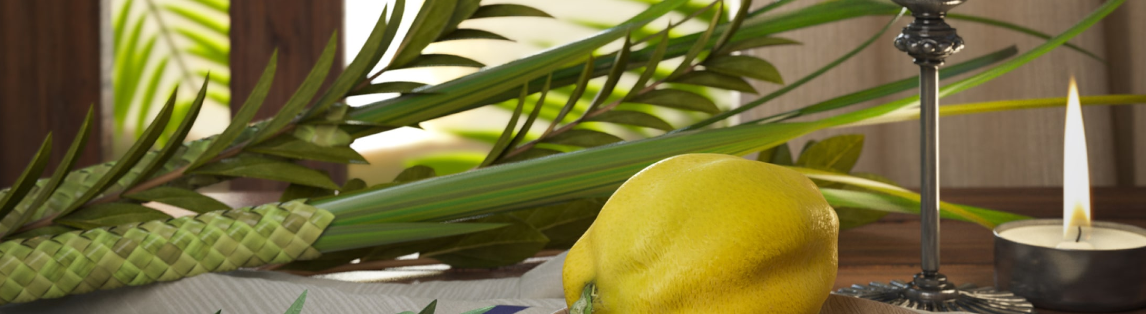 El lazo de la certeza