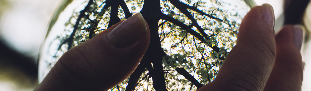 El regalo del cambio de consciencia