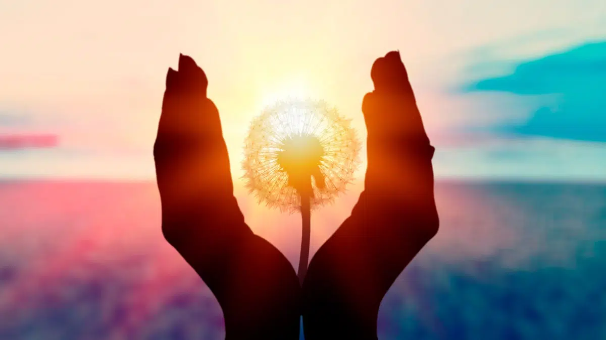 Cuadragésimo día del Omer