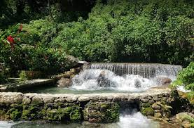 Y tú ¿Qué proporcionas?