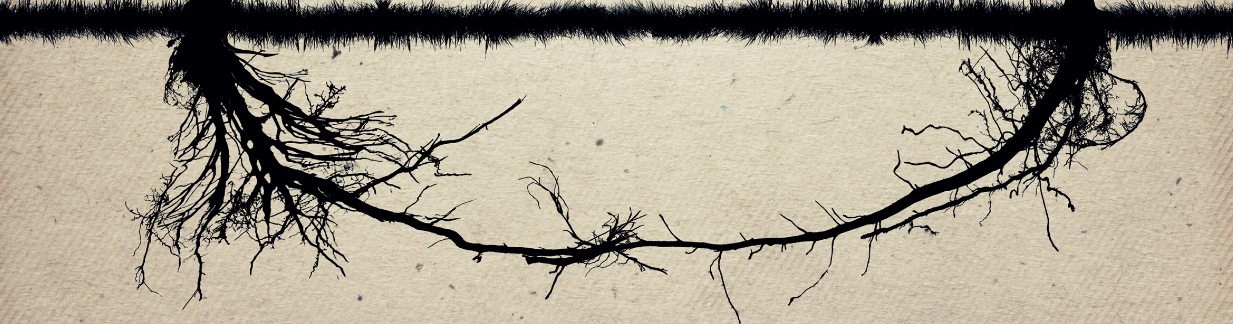 Combinar dos realidades