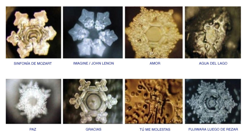 El poder de nuestras palabras