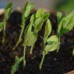 Insuflar nueva energía