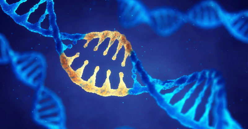 Tercera transgresión a revisar