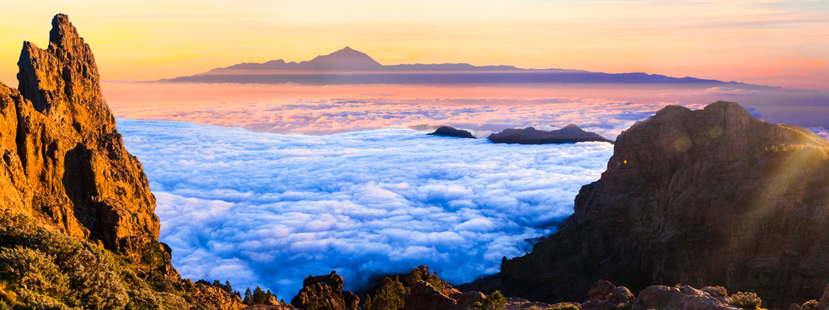 La indispensable «Protección»