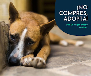 Ascender en conjunto