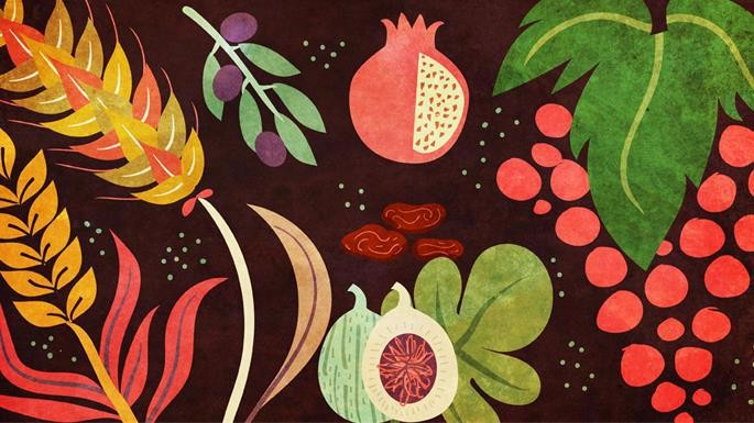 La ofrenda de especias (arba minim)