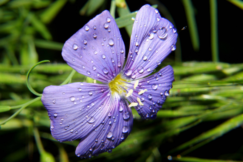 Las bendiciones que ni siquiera sabemos que necesitamos