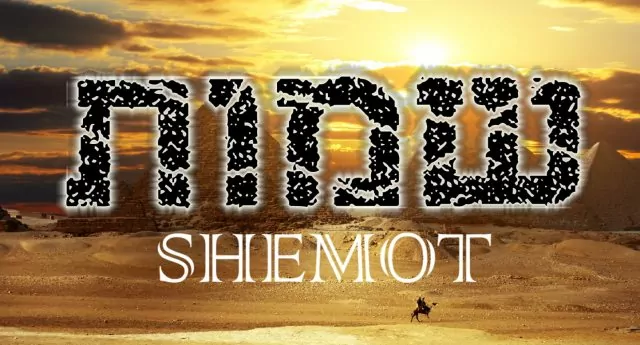 Nos ofrecen libertad