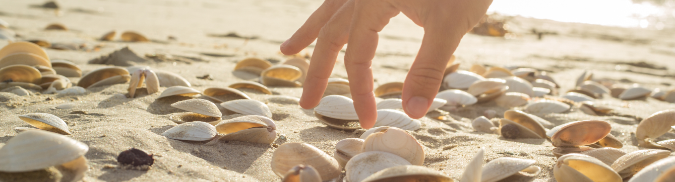 Un secreto de la reencarnación