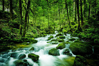 Gracias. Hod de Jesed