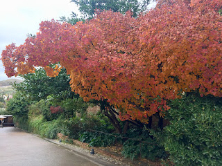 Cosecharás lo que siembres