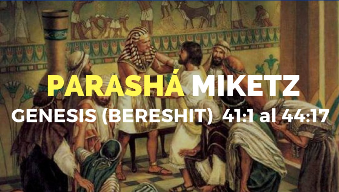 Erigirte por consciencia