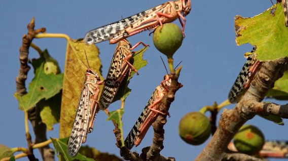 Entre la persistencia y la necedad
