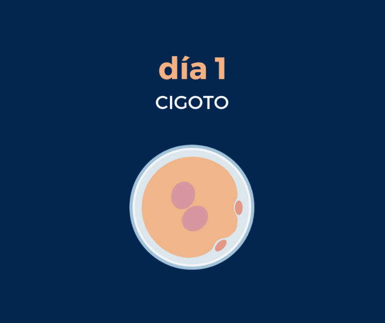 Todo en uno y al mismo tiempo