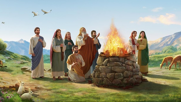 Diversidad y corrección.