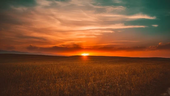 El día del Perdón SINCERO