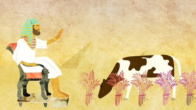 El perdón a través del entendimiento