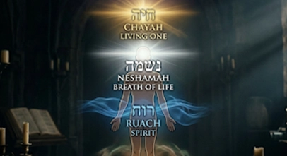 La importancia del trabajo personal